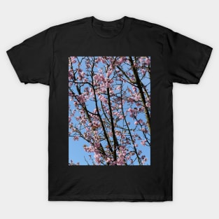 Japanese cherry blossom flowers T-Shirt